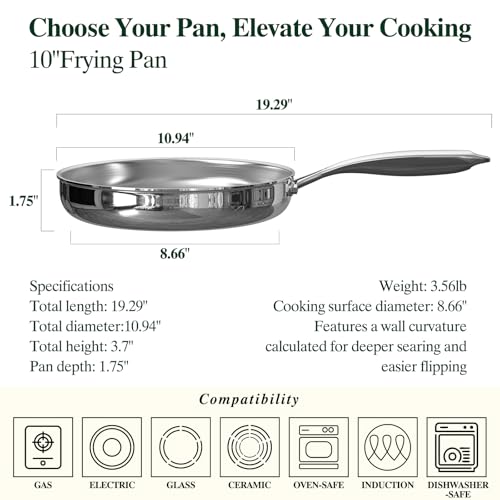 10 Inch Stainless Steel Frying Pan (10 Inch)