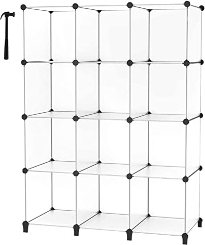 Closet Organizers and Storage (Transparent)