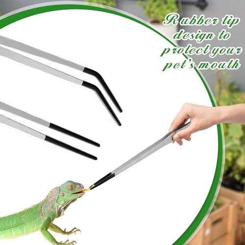2 Pcs Extra Long Stainless Steel Reptile Feeding Tongs with Rubber Tip 15 Inch Bearded Dragon Aquarium Straight and Curved Long Tweezer Terrarium Feeder Tool for Tank (Silver / 15 Inch)
