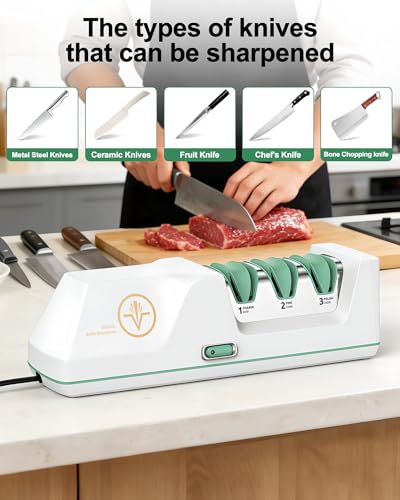 Electric Knife Sharpener with Replaceable Sharpening Head