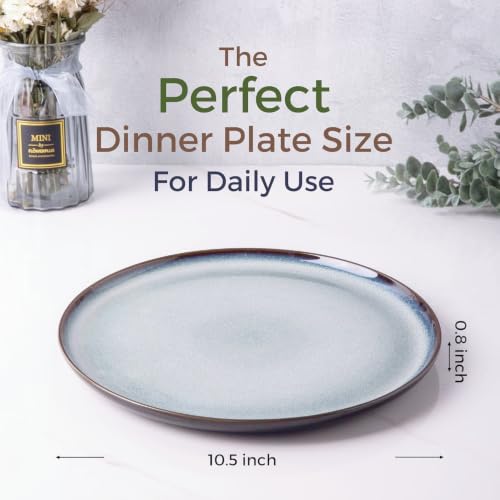 Ceramic Dinner Plates Set of 6 (10.5 Inch for 6 / Reactive-Gray White)