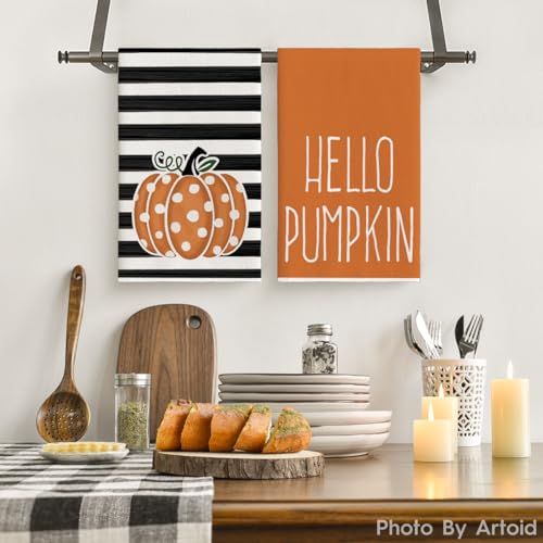 Orange Pumpkin Stripes Fall Kitchen Towels Set of 2 18x26 Inch (Orange)