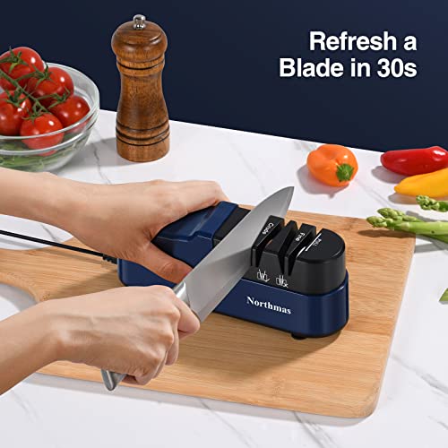 Knife Sharpener (Blue)