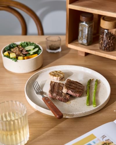 Nebula 12 Piece Stoneware Dinnerware Set (Creamy White with Colorful Speckles / Service for 4 (Standard Dinner Set))
