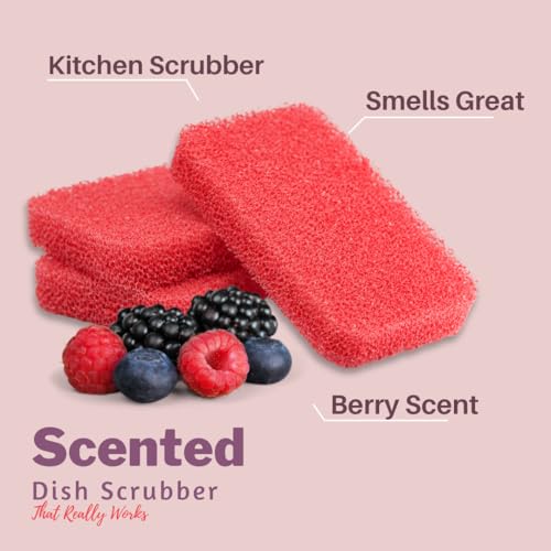Silicone Dish Sponge Scrubbers (Pack of 3 / Fresh Berry)