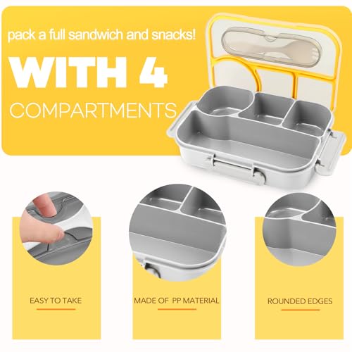 Bento Box for Adults (Gray)