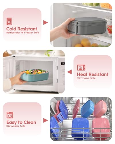 Bento Box Adult Lunch Box (Pink)