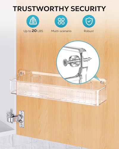 Spice Rack Wall Mount (Clear)