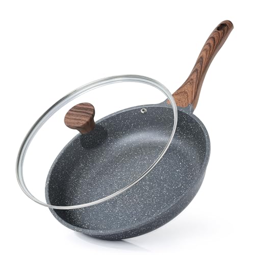 9.5inch Nonstick Frying Pan Chef's Pan with Glass Lid (Gray Granite / 9.5 Inch)