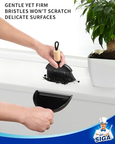 Mini Dustpan and Brush Set (Black)