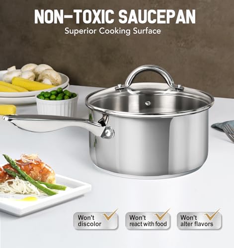 Stainless Steel Saucepan with Lid & Steamer (3 Quarts)