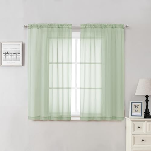 Light Green Sheer Curtains 54 Inch Length 2 Panels (Light Green / 42"W x 54"L (Pack of 2))