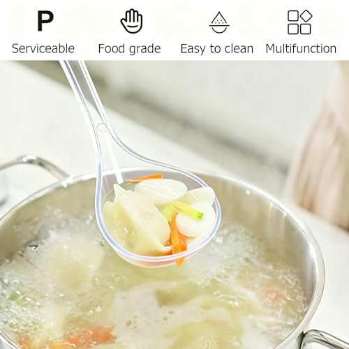 Large Plastic Serving Spoons (Clear)