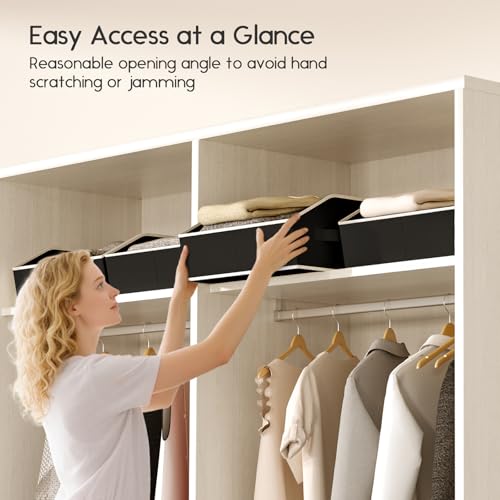 Large Closet Organizers and Storage Bins (Black / 8 Pack)
