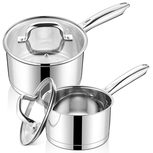 Stainless Steel Saucepan Set of 2 (1+3 Quart)