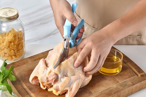 Heavy Duty Poultry Shears (Aqua Sky)
