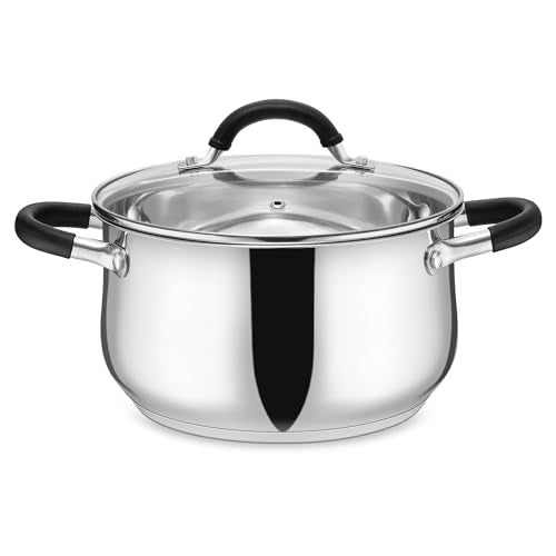 5Qt Stainless Steel Stock Pot (5 Quarts)