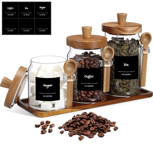 3 Pcs Glass Coffee Container Set (13.5,20,25 oz)
