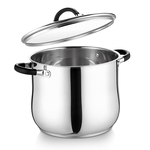 10 Quart Stock Pot (10 Quarts)