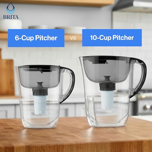 Small 6 Cup Water Filter Pitcher