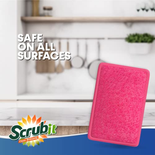Scrub and Wipe Scrubbing Pads [10 Pack] (Pink)