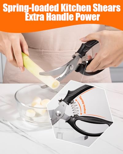 Kitchen Shears