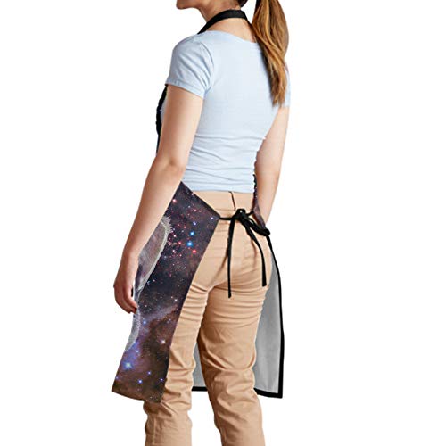 Kitchen Apron with 2 Pockets for Cat Lover（Unicorn Cat） (33" x 28"(Pack of 1) / Brown Cat)