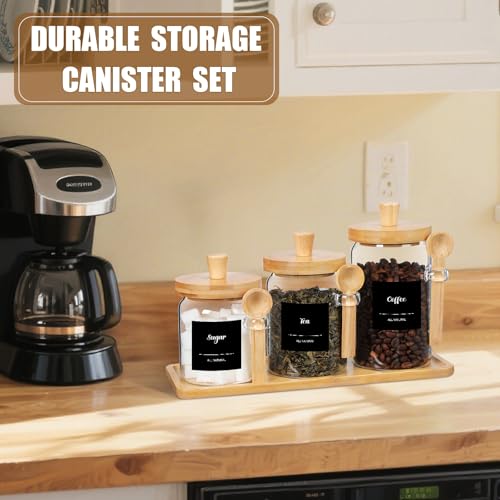 3 Pcs Glass Coffee Container Set (13.5,20,25 oz)