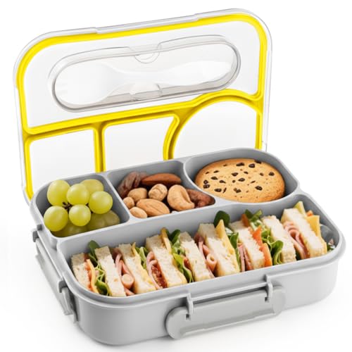 Bento Box Adult (Gray)