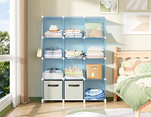 Closet Organizers and Storage (Blue)