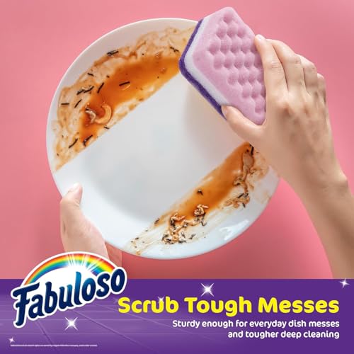 Scratch Free Kitchen Dish Sponges (Purple / 4 Count (Pack of 2))