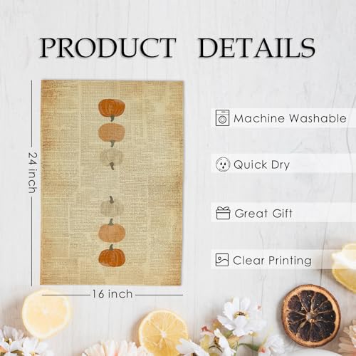 Vintage Pumpkin Kitchen Towels and Dishcloths Set of 2 (Rustic Pumpkins)
