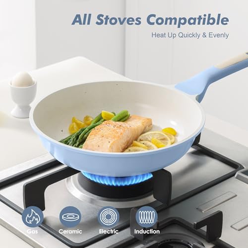 Nonstick Ceramic Frying Pan 9.5 (9.5 Inch / Glacier Blue)