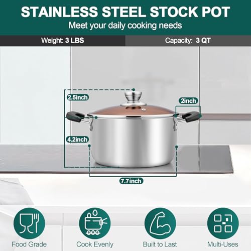 3 Quart Stock Pot (3 Quarts)