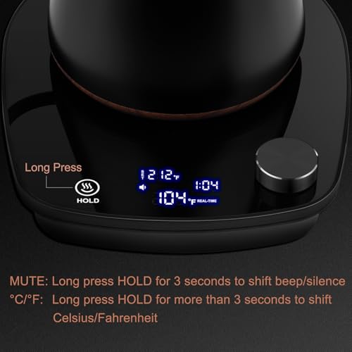 Gooseneck Electric Kettle (Black)