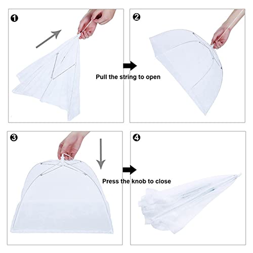 6 Pack Colored Mesh Food Cover Tents by Winknowl (6 PACK (17”x17”) / Multicolor)