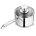1 Quart Tri Ply Saucepan with Visible Lid (1 Quarts)