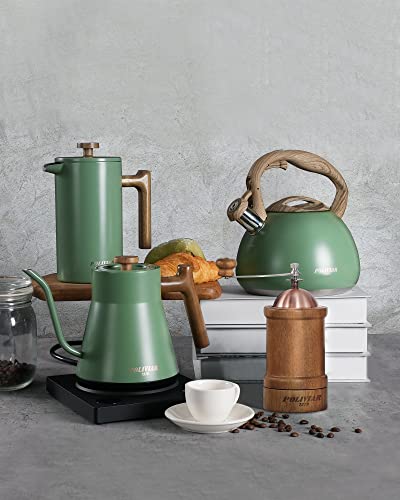 POLIVIAR Manual Coffee Grinder (Large)