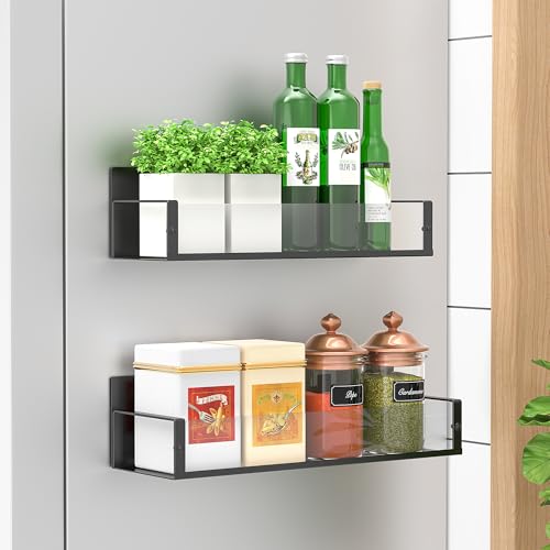 Metal Magnetic Spice Rack for Refrigerator Clear (2 Pack / Clear)