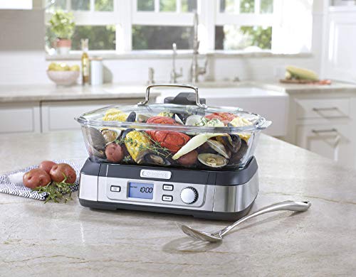 Glass Food Steamer (Stainless Steel)