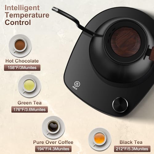 Gooseneck Electric Kettle (Black)