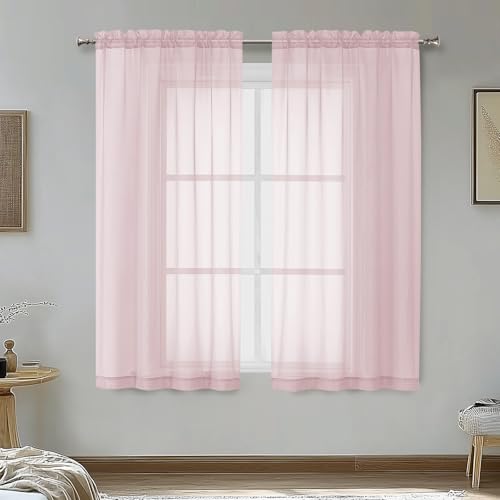 Blush Pink Sheer Curtains 54 Inches Long 2 Panels (Blush / 42"W x 54"L (Pack of 2))