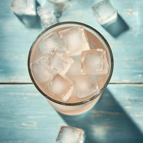 Ice Cube Tray with Lids (Gray)