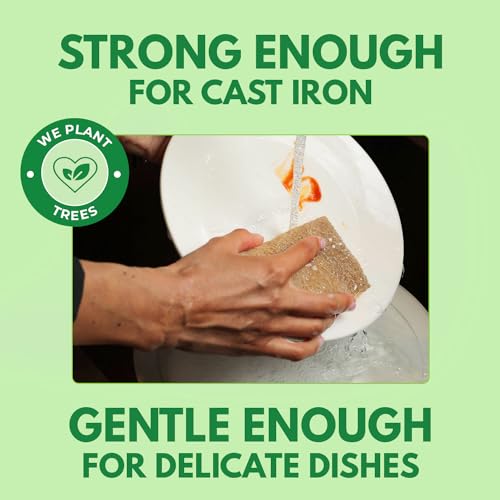 Biodegradable Natural Kitchen Sponges Pack of 6 (6 Pack)