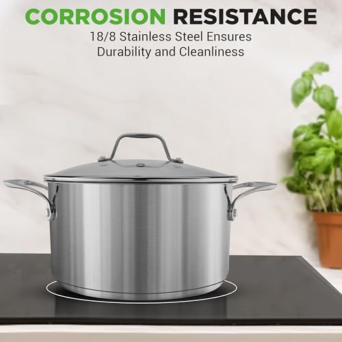 6 Quart Stainless Steel Stockpot (6 Quarts)