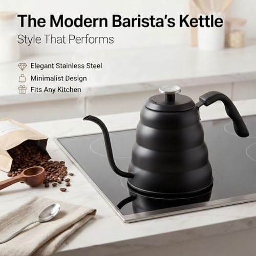 Gooseneck Kettle (Matte Black / 1.2L)