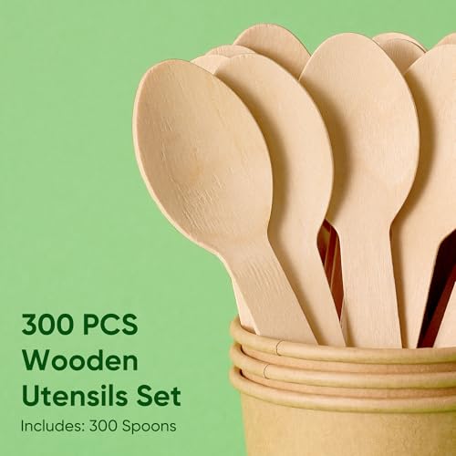 300 PCS Spoons (300 PCS Spoons)
