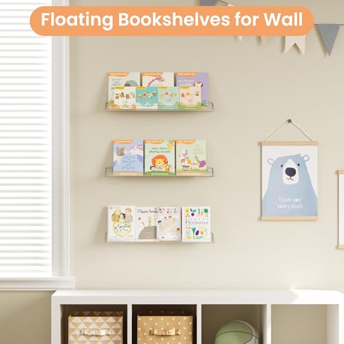 23.6" Acrylic Shelves for Wall Storage and Organizer (23.6x5.5")