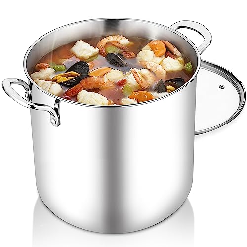 12 Quart Stock Pot (12 Quarts)