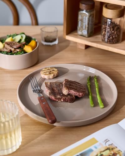 Nebula Plates and Bowls Sets (Cinnamon Brown / Service for 6 (Standard Dinner Set))